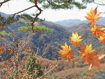 土地公传奇免费在线观看、剧情简介